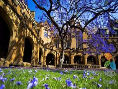 美好學(xué)校|走進(jìn)遠(yuǎn)恒佳，世界名校與您有約