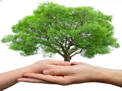 家?；觸朱永新：家庭教育關(guān)鍵十點