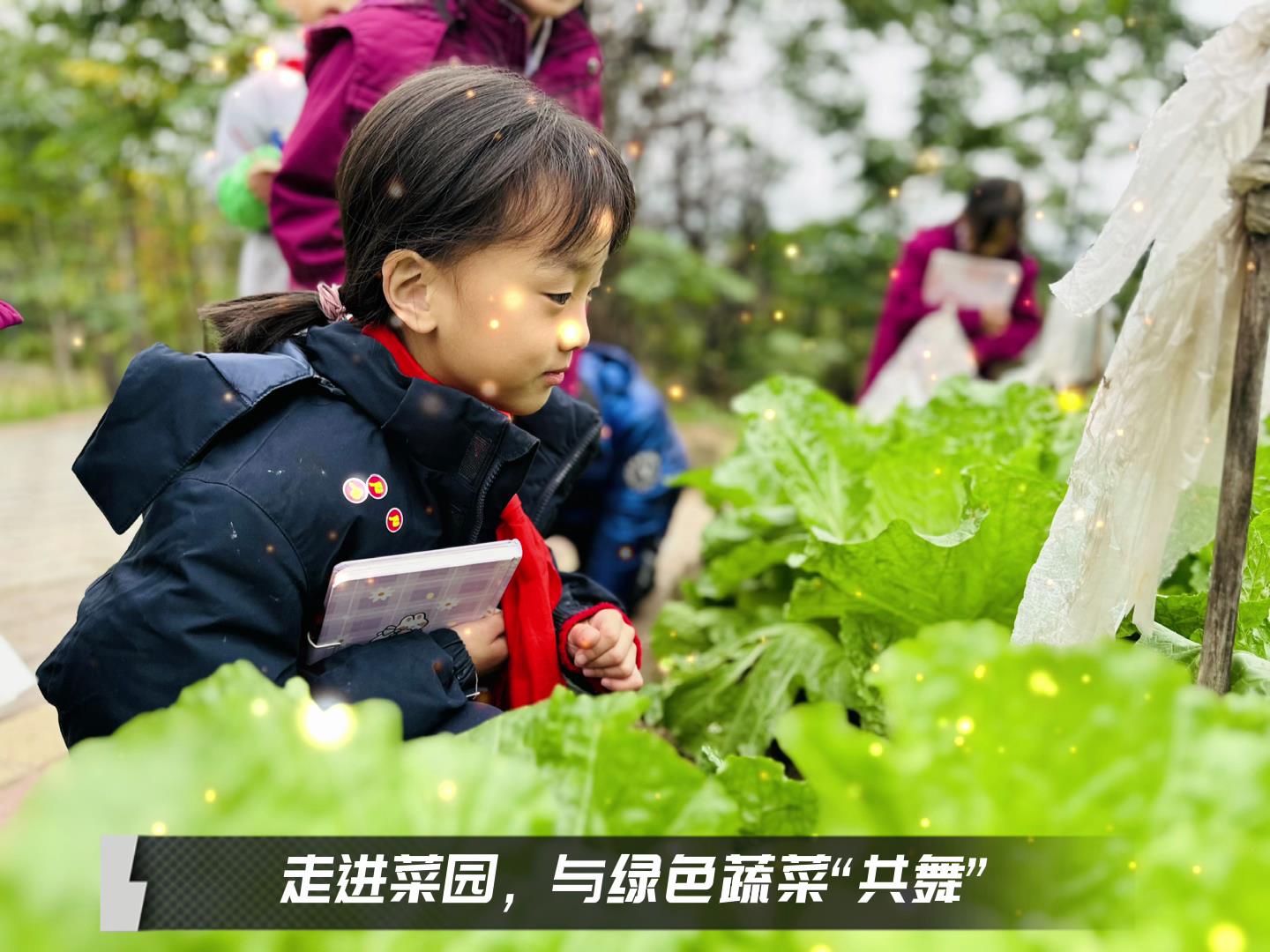 #美好學(xué)校|留校時(shí)光，走出教室，與綠色蔬菜共舞