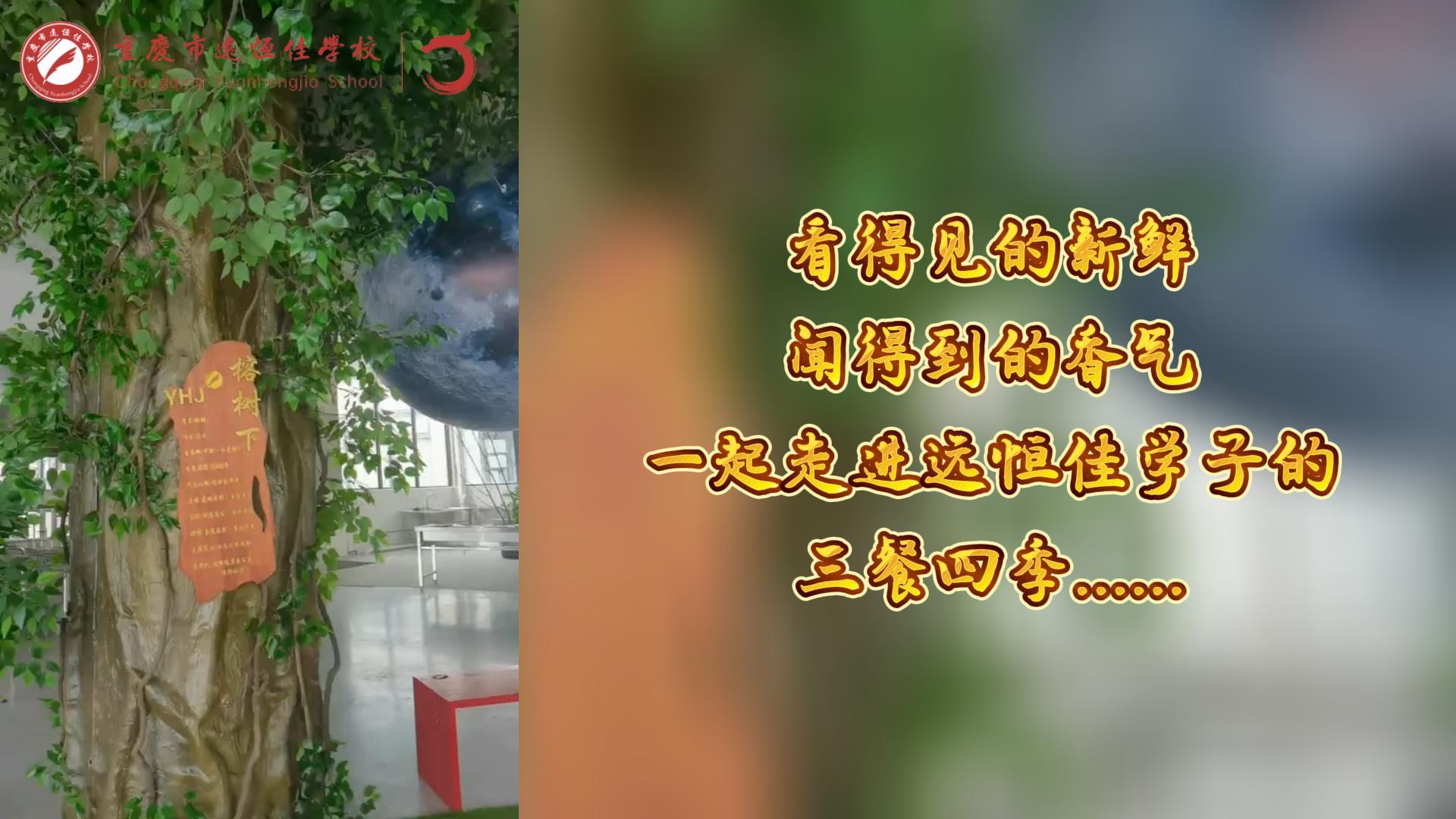 #美好學(xué)校|看得見的新鮮，聞得到的香味，一起走進(jìn)遠(yuǎn)恒佳學(xué)子的三餐四季!